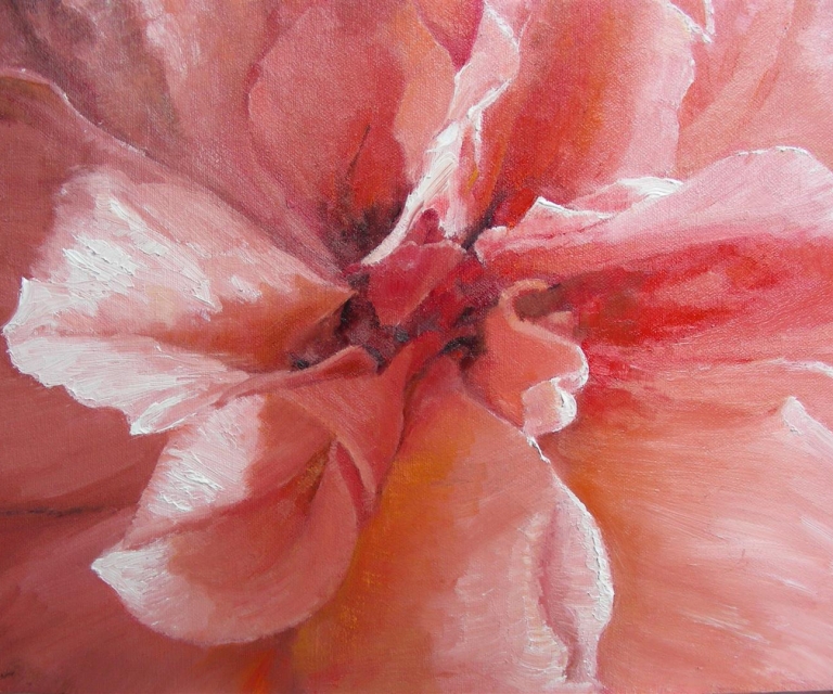 Cecile Brunner rose 30 x 40 cm Available