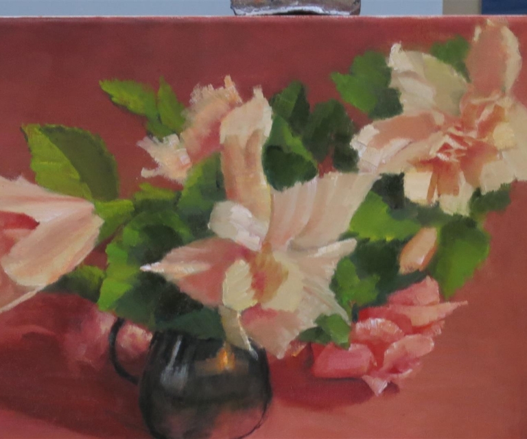 Hibiscus in pot 